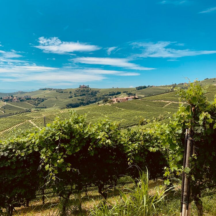 Langhe