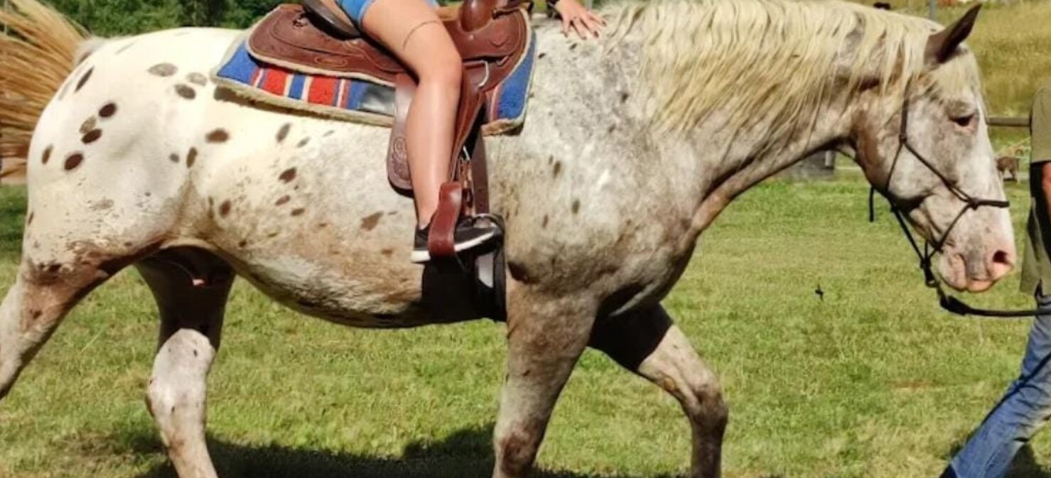 Trekking a cavallo