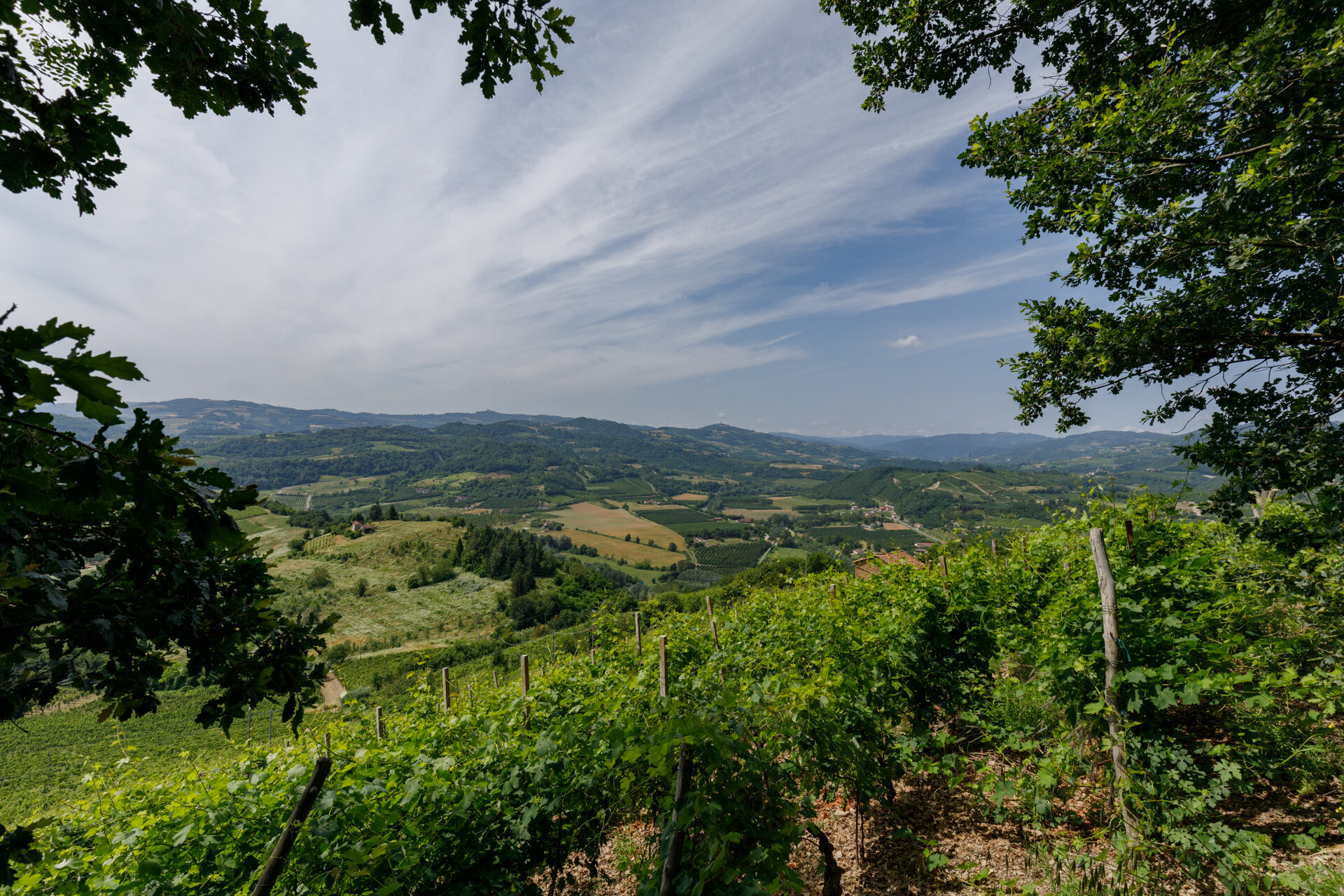 Grande attraversata delle Langhe