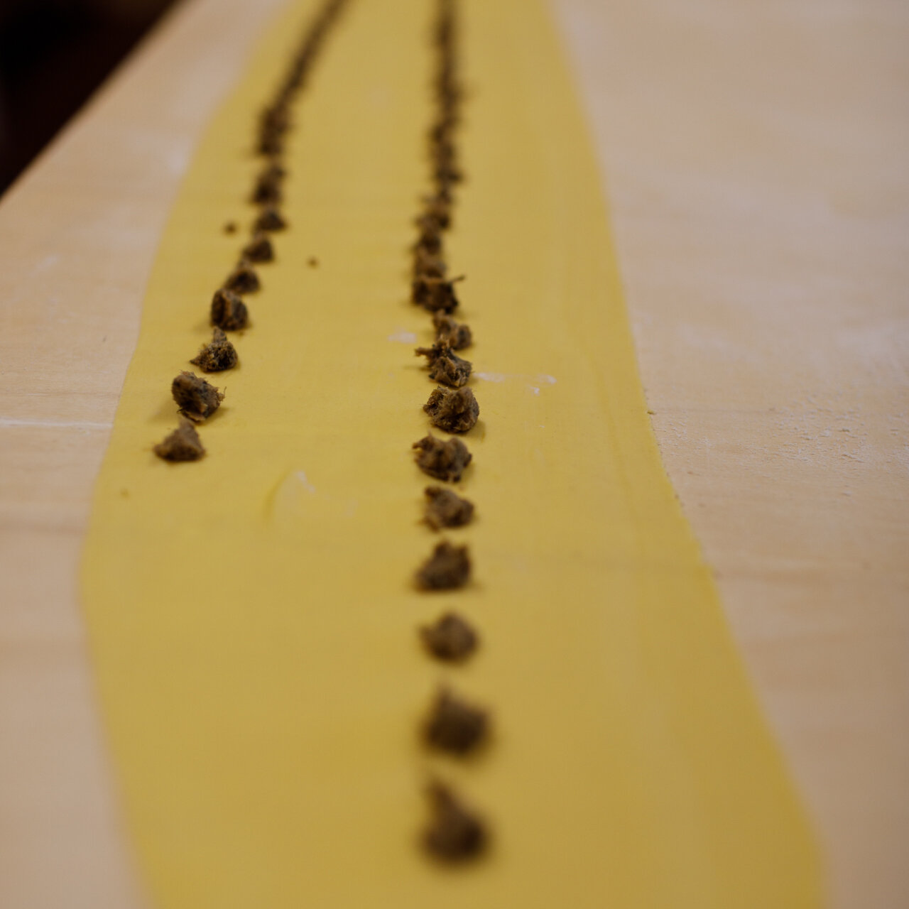 Sagra Del Raviolo Casalingo