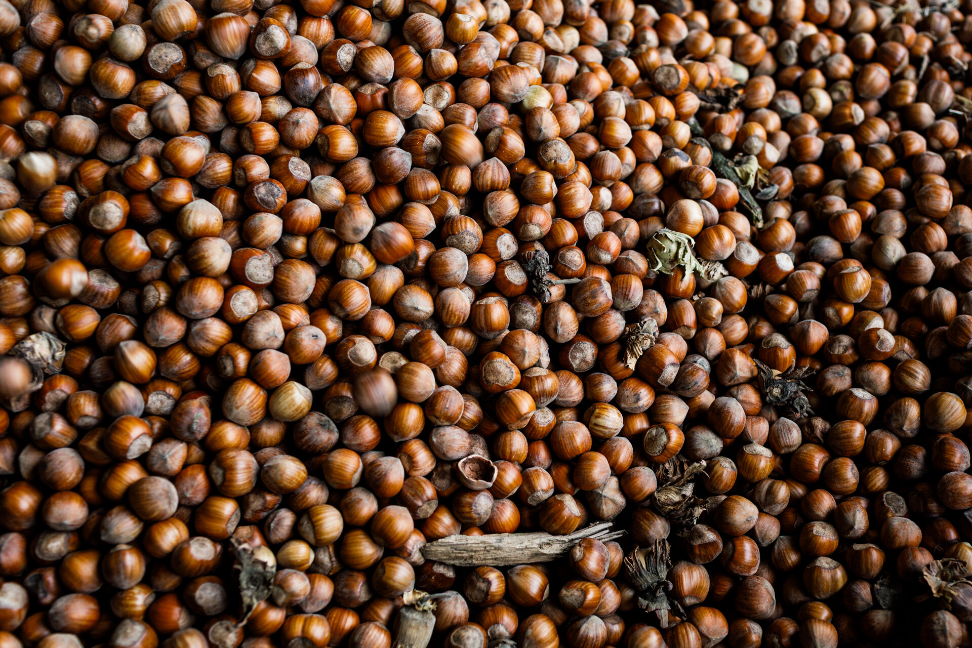 Hazelnuts