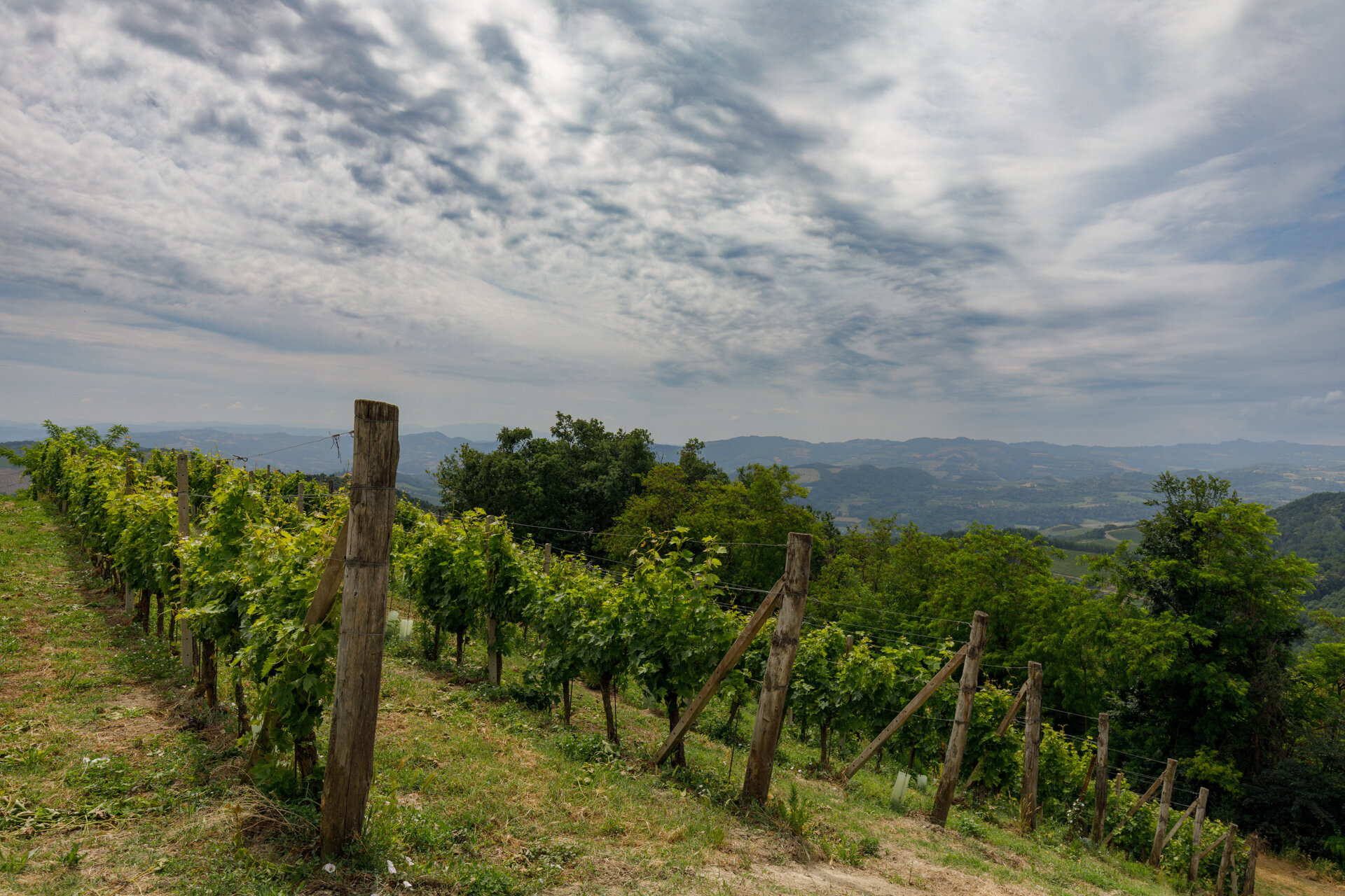 Forteto Della Luja 