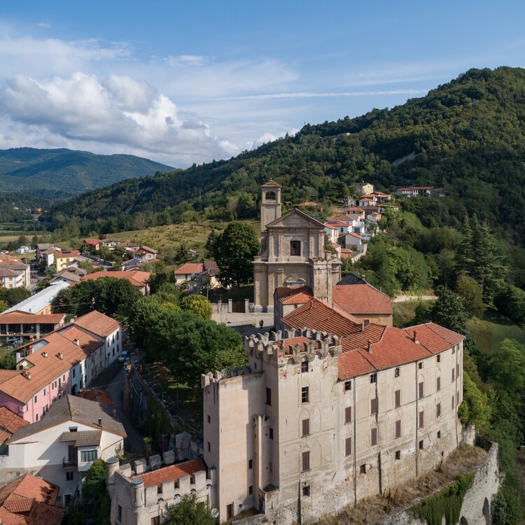 Monesiglio