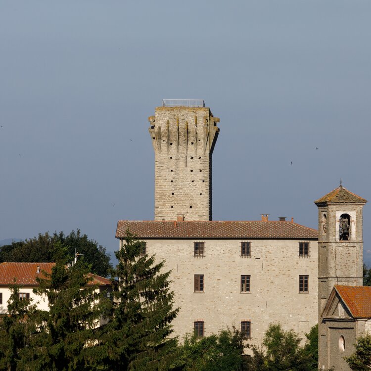 Olmo Gentile