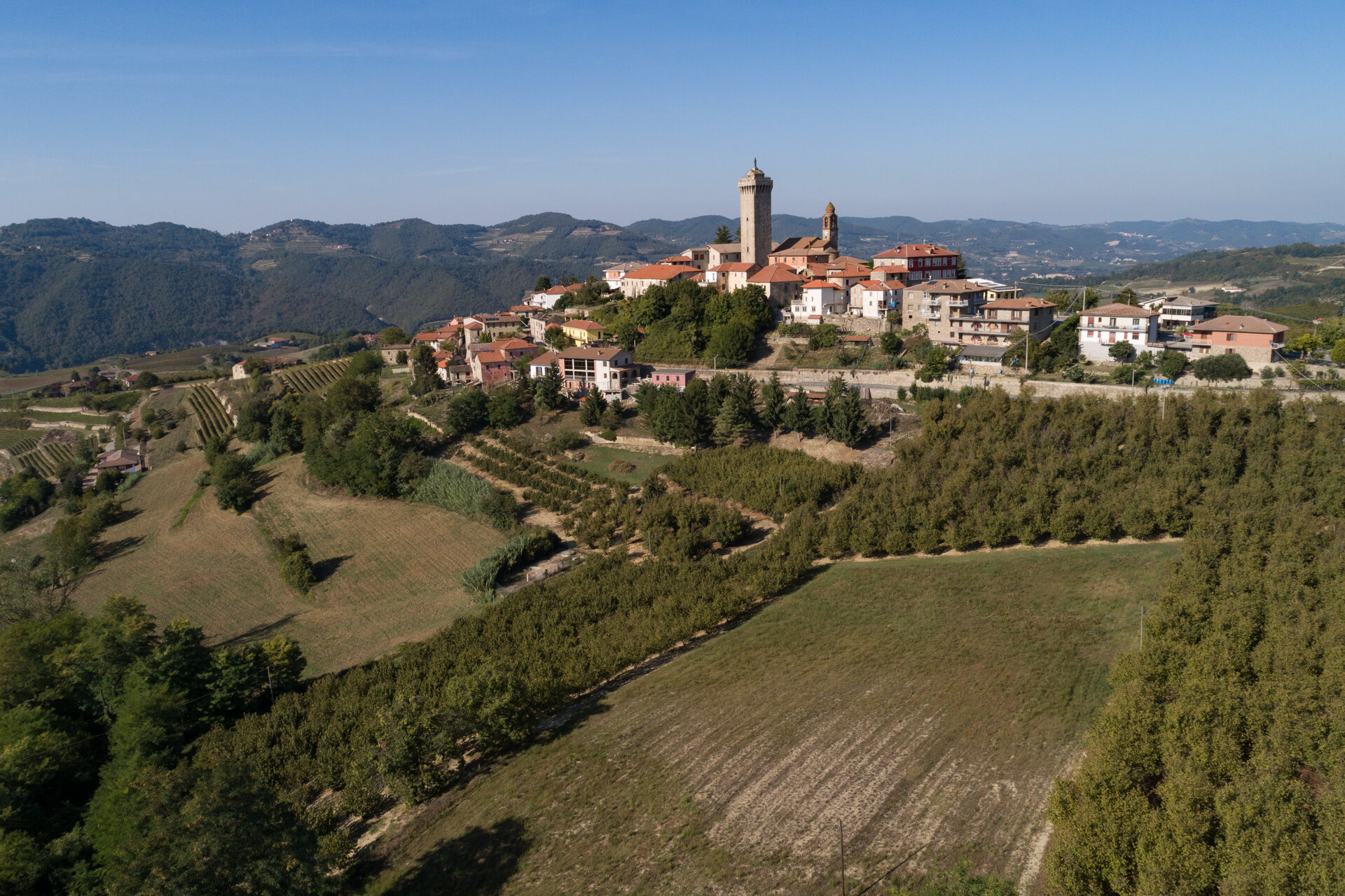 Perletto