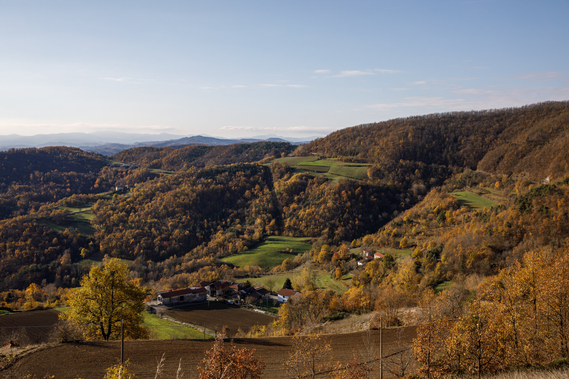 Autunno in Val Bormida: foliage, castagne, funghi e borghi